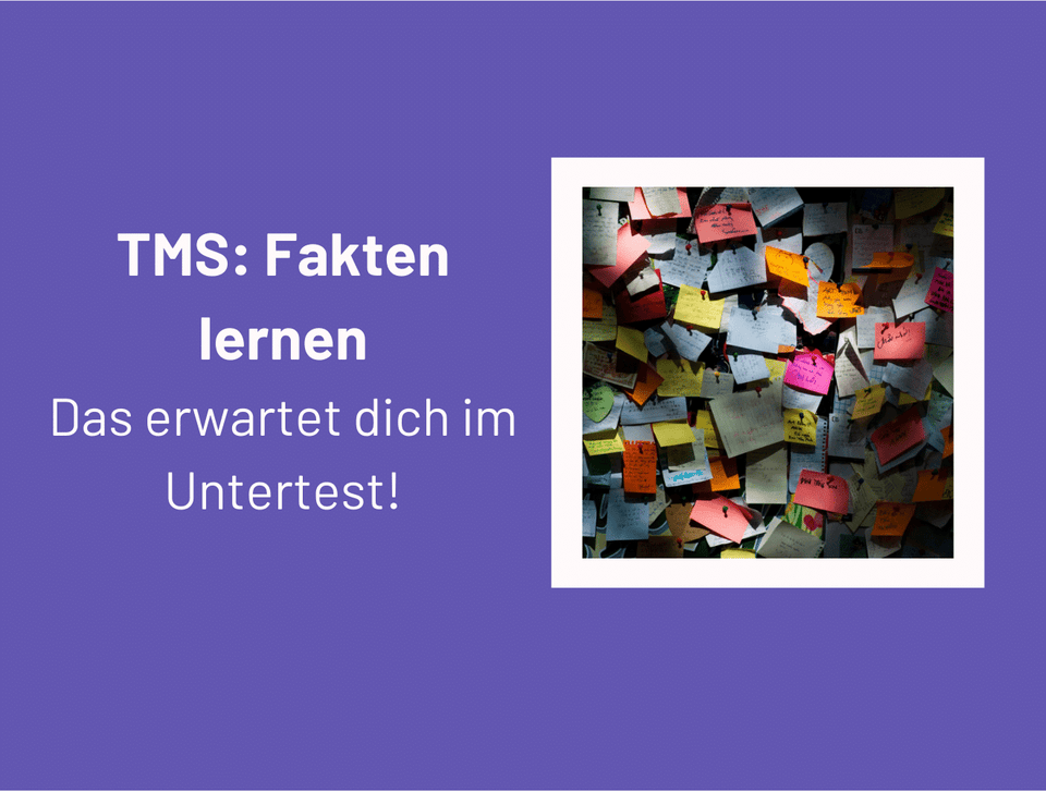 Hinweise zum TMS-Untertest Fakten lernen neben einer Wand voller bunter Notizzettel