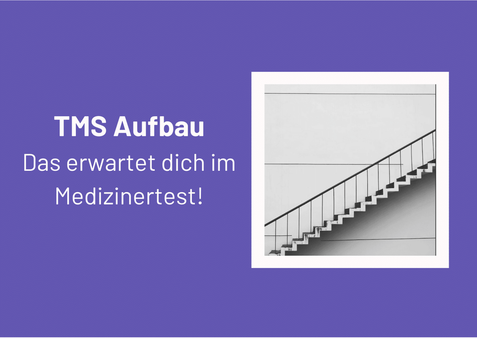 Informationen zum TMS-Aufbau im Medizinertest mit einer Treppen-Illustration