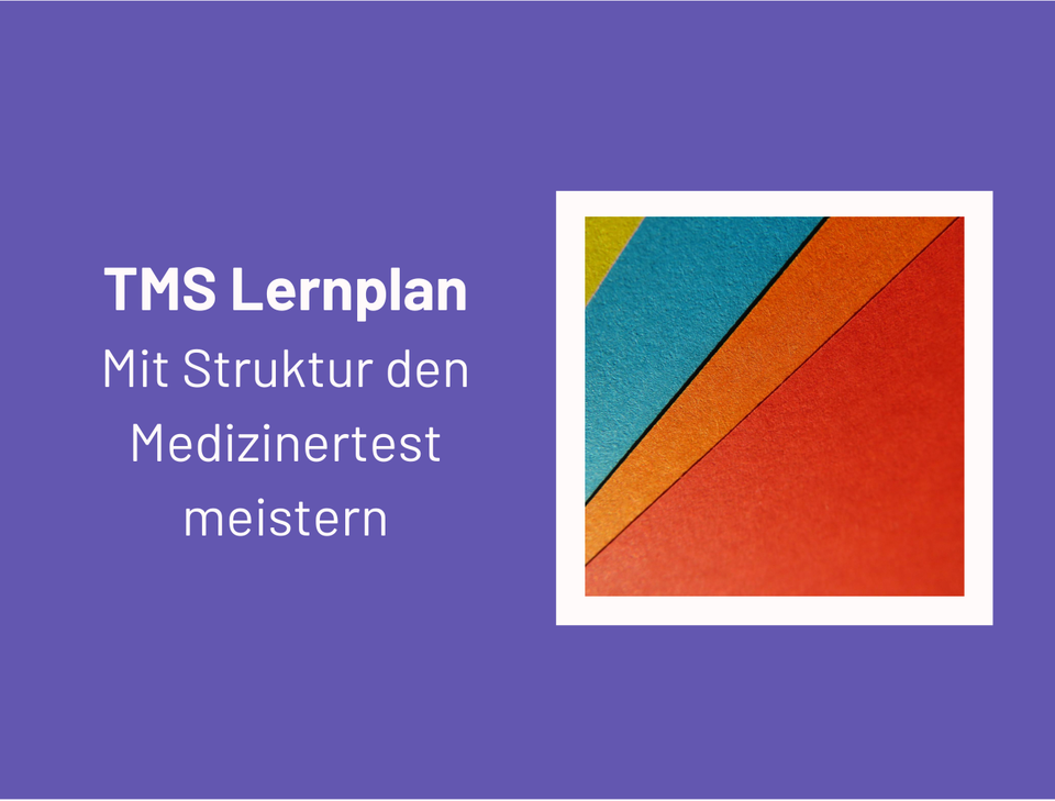 Schriftzug TMS Lernplan – Mit Struktur den Medizinertest meistern auf lila Hintergrund