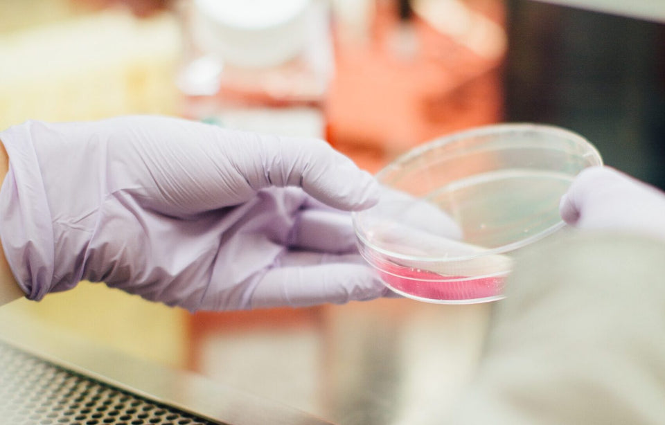 Biologie im Einstellungstest – Was ist ein Gen? 