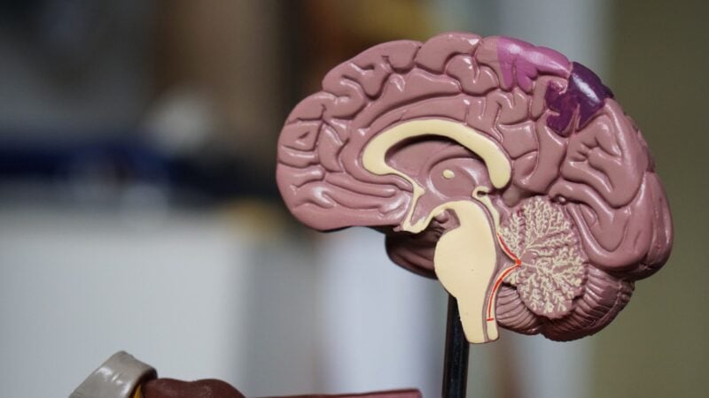 EQ Test beim Bewerbungsverfahren – Messen der emotionalen Intelligenz