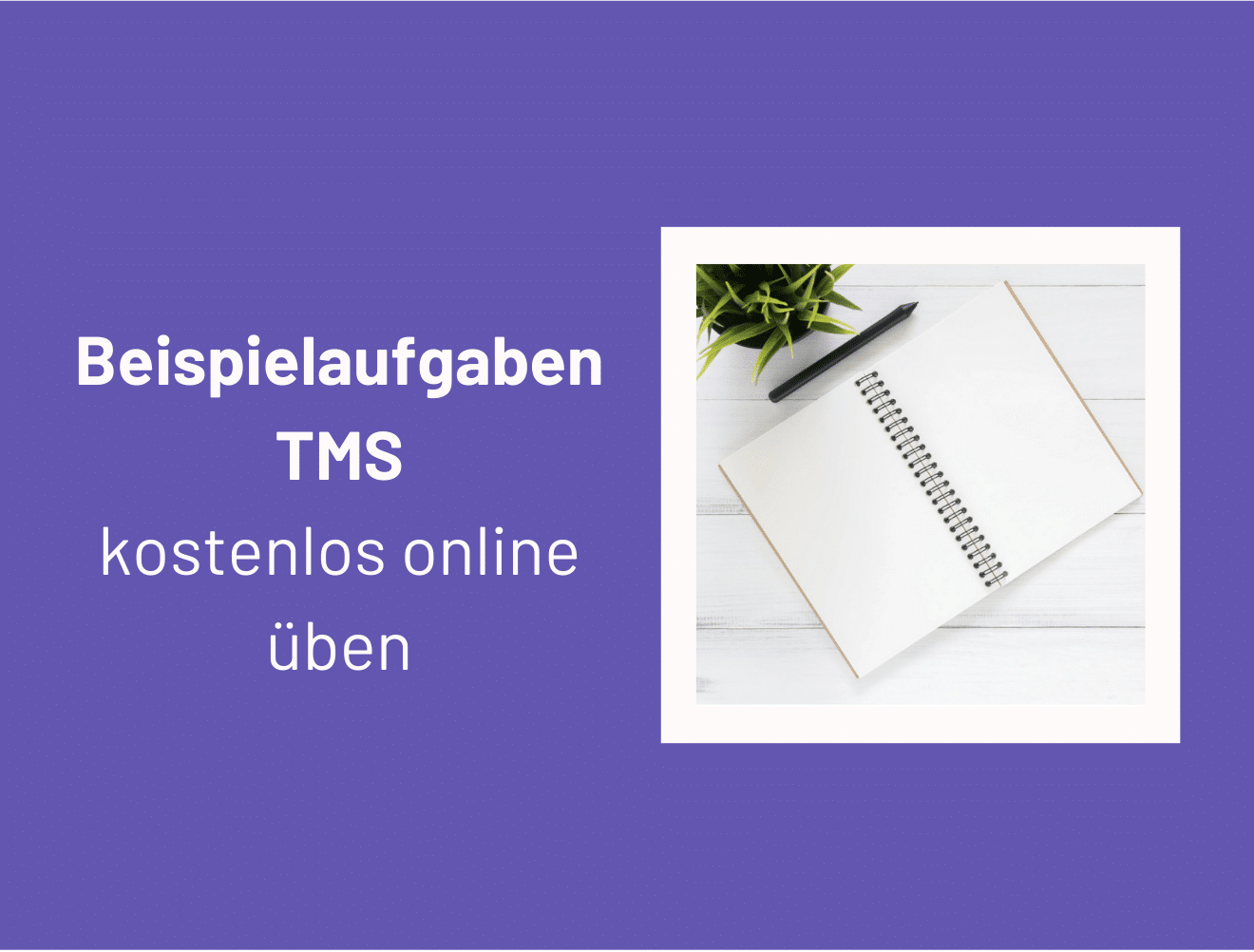 Beispielaufgaben TMS