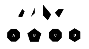 MedAT Figuren zusammensetzen