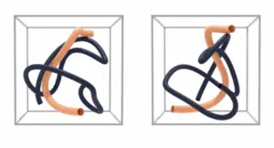 Übungsmaterial TMS