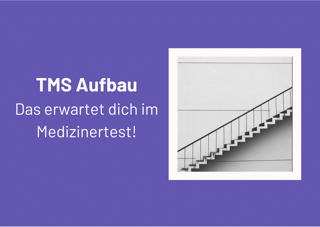 TMS Aufbau
