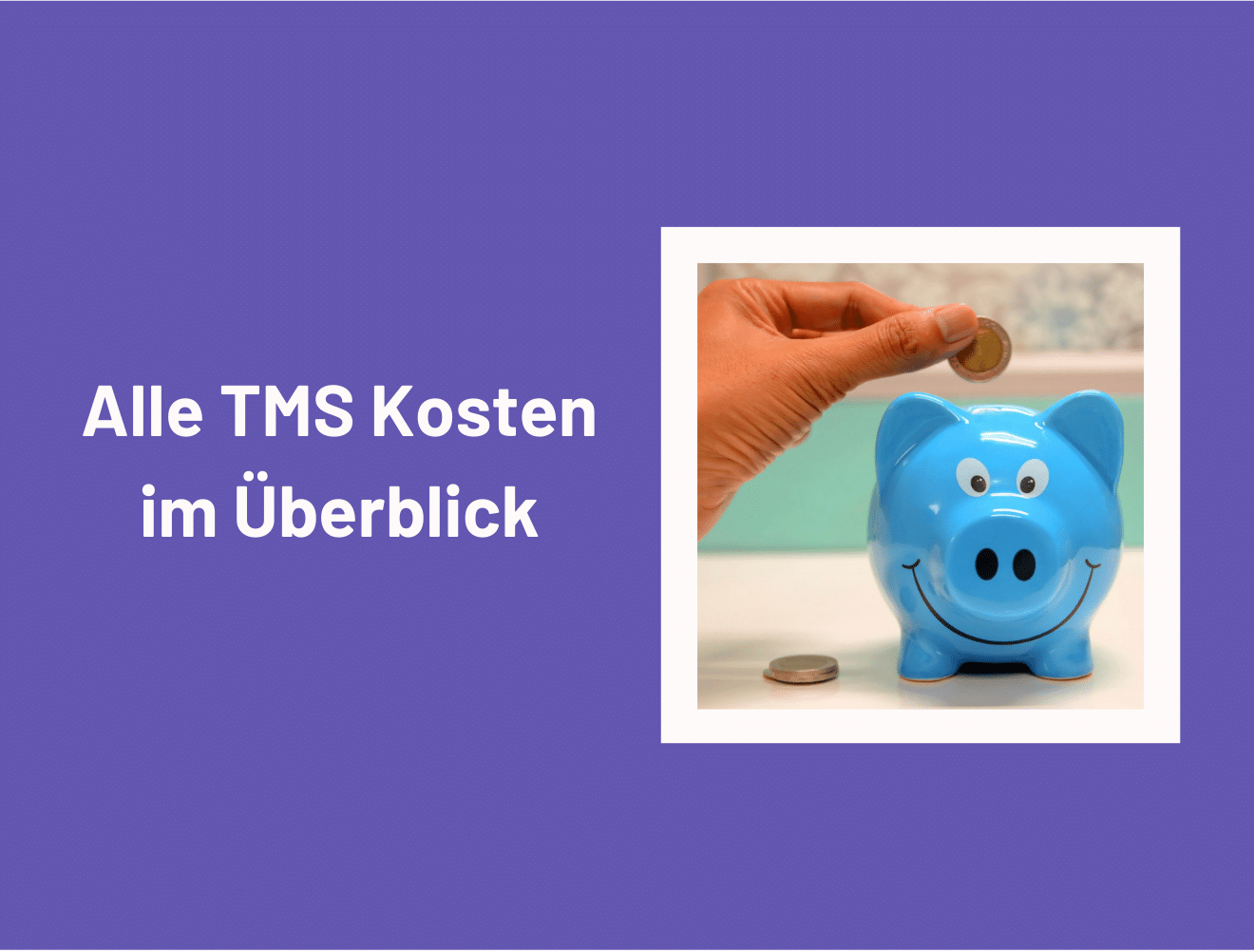 TMS Kosten