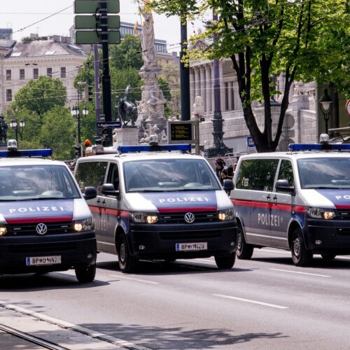 Polizei Österreich Dienstgrade