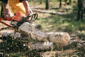 Ablauf einer Ausbildung 